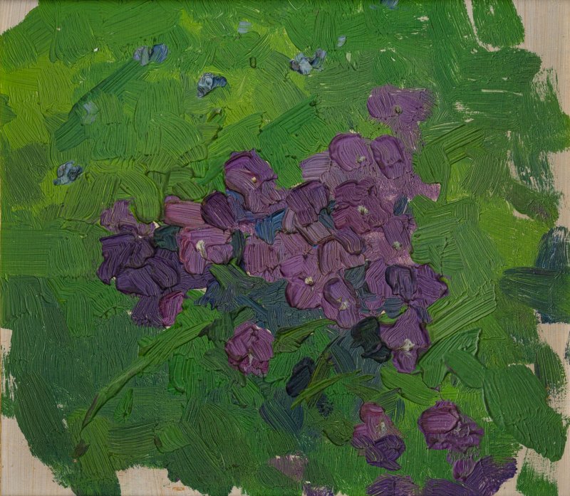 1914 -Violette